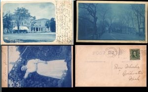 Cyanotype postcards with the signature bright blue images
