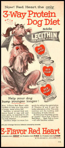 1950s Red Heart Dog Food ad