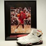 Michael Jordan 1993 Nike Air Jordan VII Cardinal
